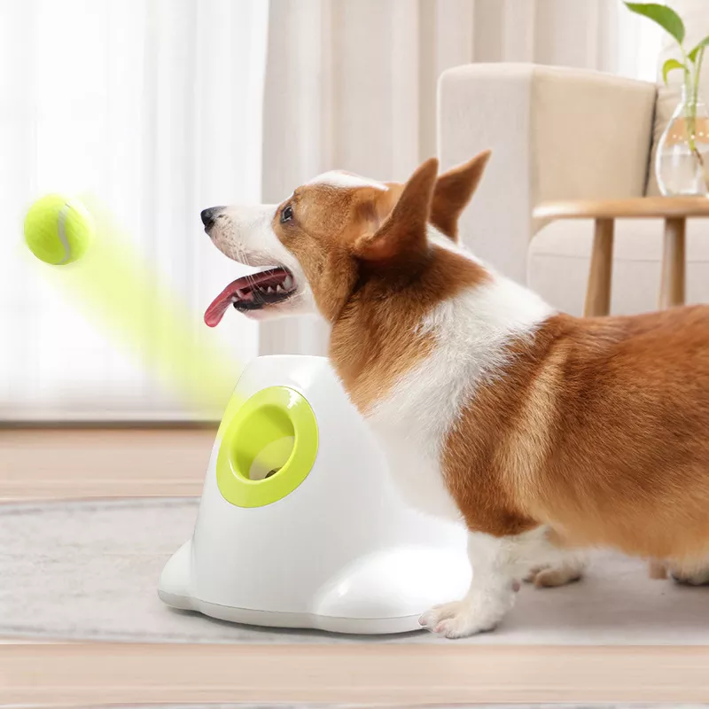 Dog Pet Toys Tennis Launcher Automatic Throwing Machine Pet Ball Throw Device 3/6/9m Section Emission with 3 Balls Dog Training